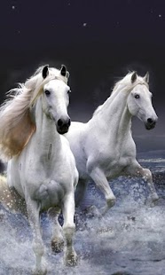 How to install Horses Background 1.1 apk for pc