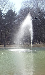 SH3D写真集 Vol.2 poster 2