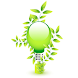 Greener Ideas : Greener Living