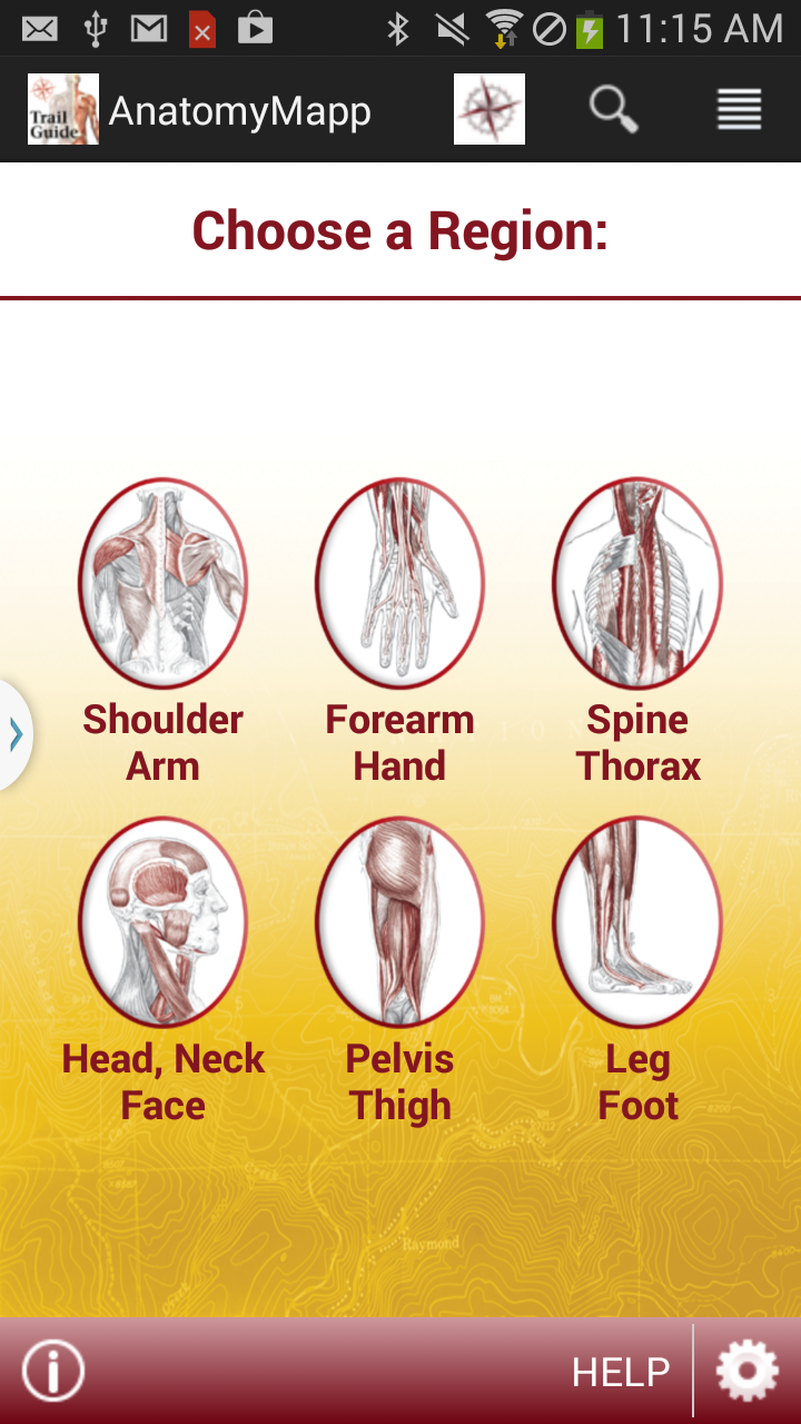 AnatomyMapp Screen 1