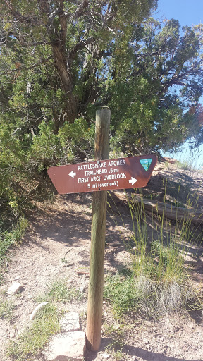 Rattlesnake Canyon Trail Fork