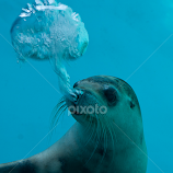 Thar she blows by David Alderson -  