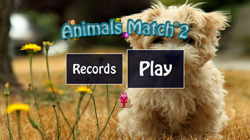 Cute Animal Game