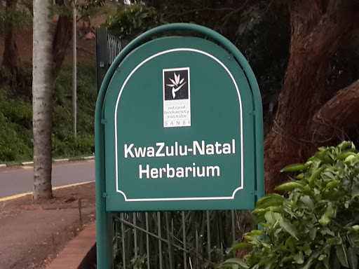 KZN Herbarium 