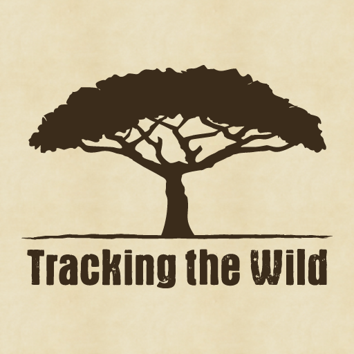 Tracking the Wild LOGO-APP點子