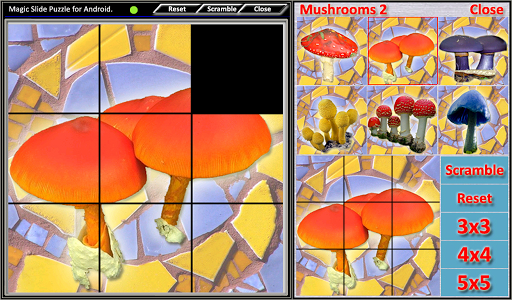 【免費解謎App】Magic Slide Puzzle Mushrooms 2-APP點子