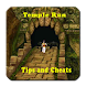 Temple Run Tips and Cheats icon