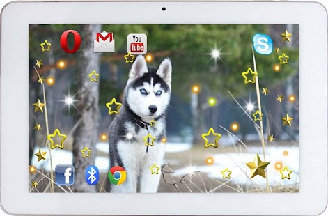 Husky Sounds HD live wallpaper