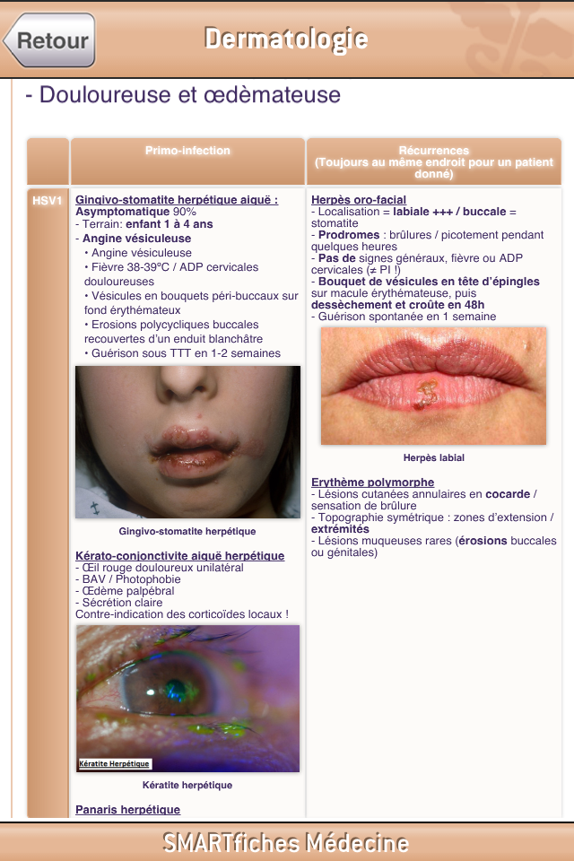 SMARTfiches Dermatologie Free Screen 3