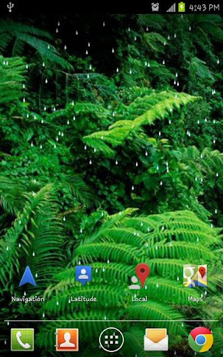 Rain Forest HD Live Wallpaper