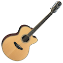 12 STRING GUITAR TUNER logo