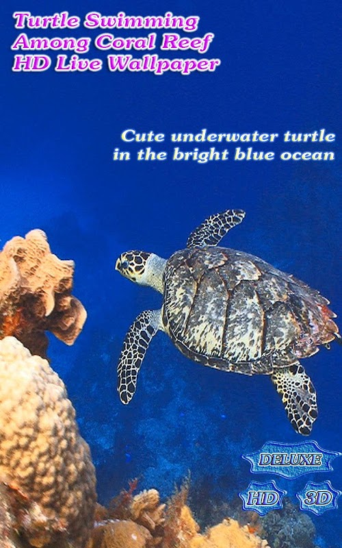 Android application Turtle Swimming Coral Reef HD screenshort