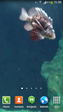 Aquarium Live Wallpaper 3 Free