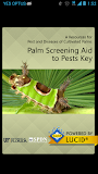 Palm Screening Aid Key