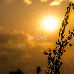 by Simon Trott - Landscapes Sunsets & Sunrises
