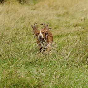 by James Blyth Currie - Uncategorized All Uncategorized