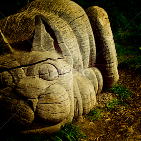 Cheshire Cat by Dylan Barlow - Novices Only Objects & Still Life