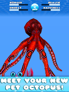 Virtual Pet Octopus