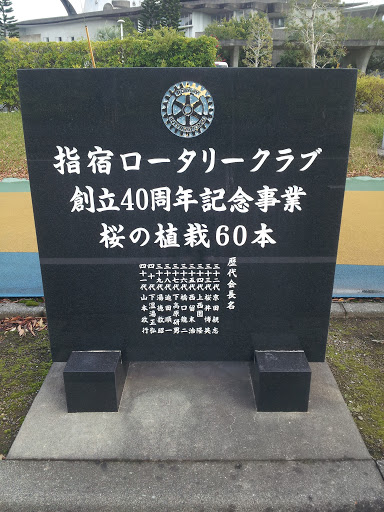 指宿ロータリークラブ創立40周年記念事業 桜の植栽60本