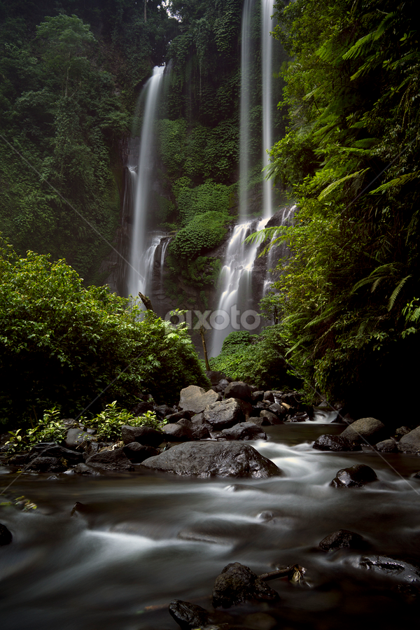 by Lim Darmawan - Nature Up Close Water