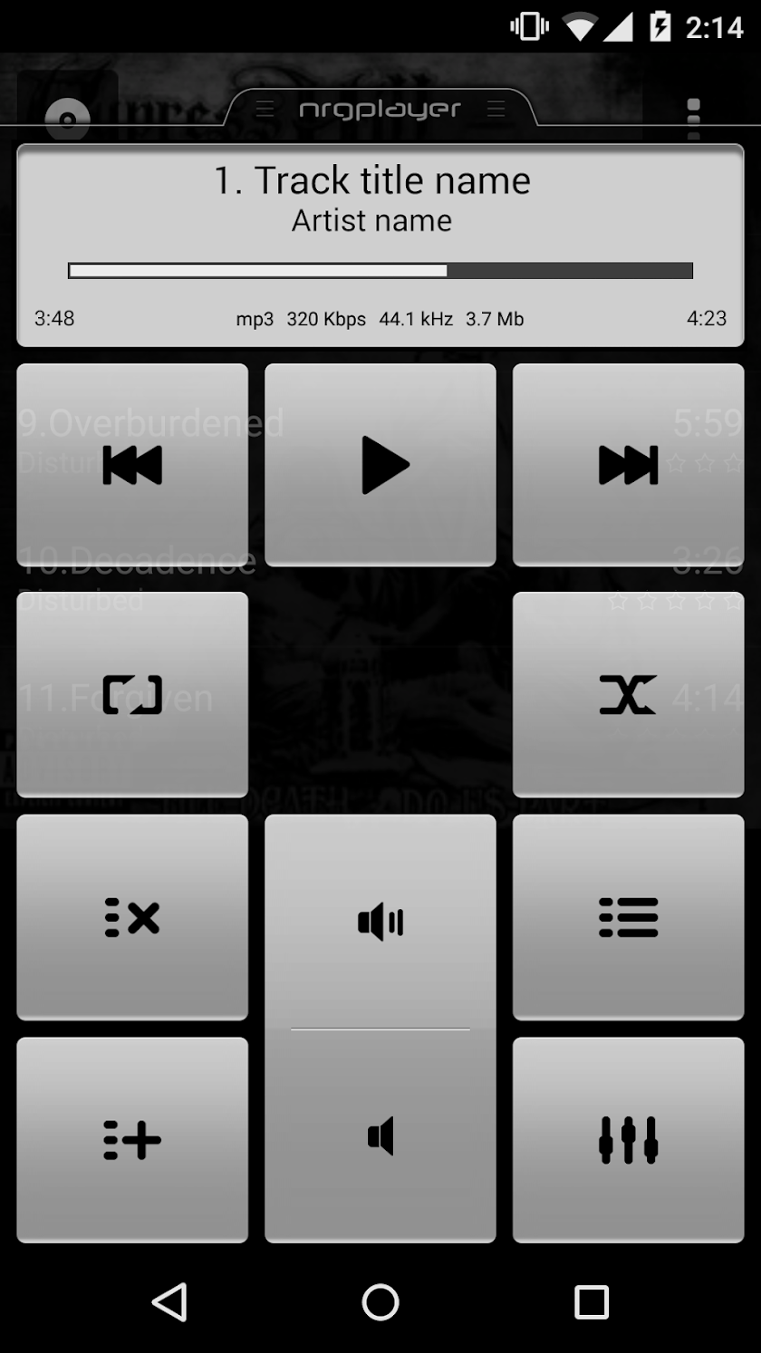 NRG Player Car Skin Screen 2