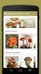 Pilzlexikon 2 PRO(圖2)-速報App
