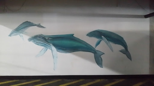 Family of Whales