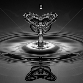 Heart of Valentine by Chandra Irahadi - Black & White Abstract