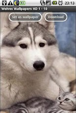 Wolves Wallpapers HD
