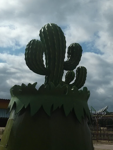 Cactus Du Rally