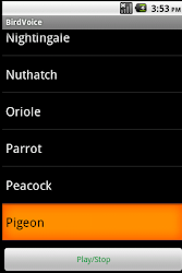 Bird's Voice