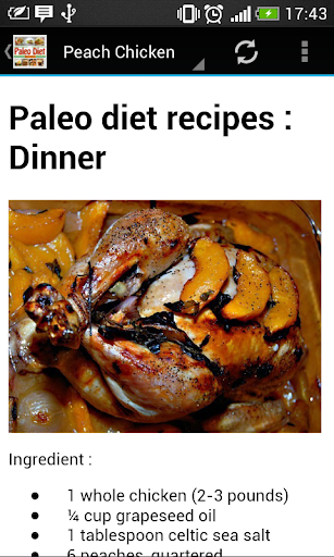 【免費健康App】Paleo Diet Recipes-APP點子