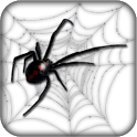 Spider Live Wallpaper icon