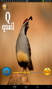 download ABC Lagu free