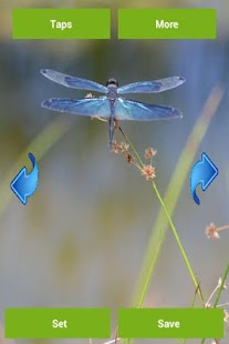 Dragonfly Wallpapers Screenshots 4
