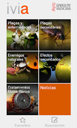 gipcitricos Ivia poster 2