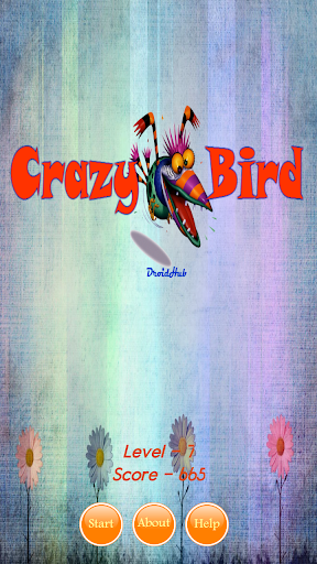 Crazy Bird Pro