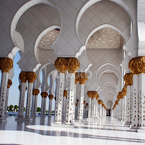 Pillars of the Sheikh Zayed Mosque in Abu Dhabi, UAE by Akshay Samarth - Buildings & Architecture Architectural Detail