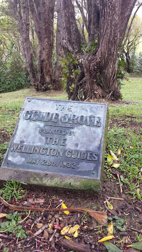 The Wellington Guide Groves