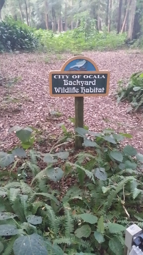 Backyard Wildlife Habitat