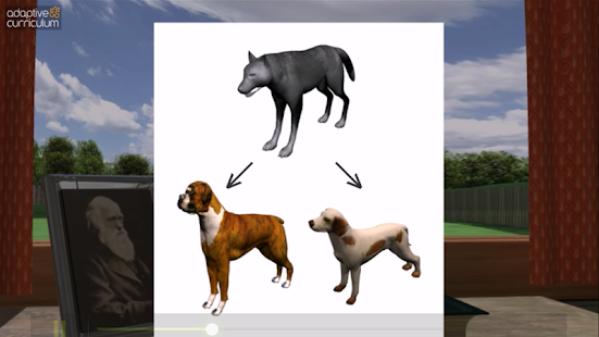 Lastest Natural Selection APK