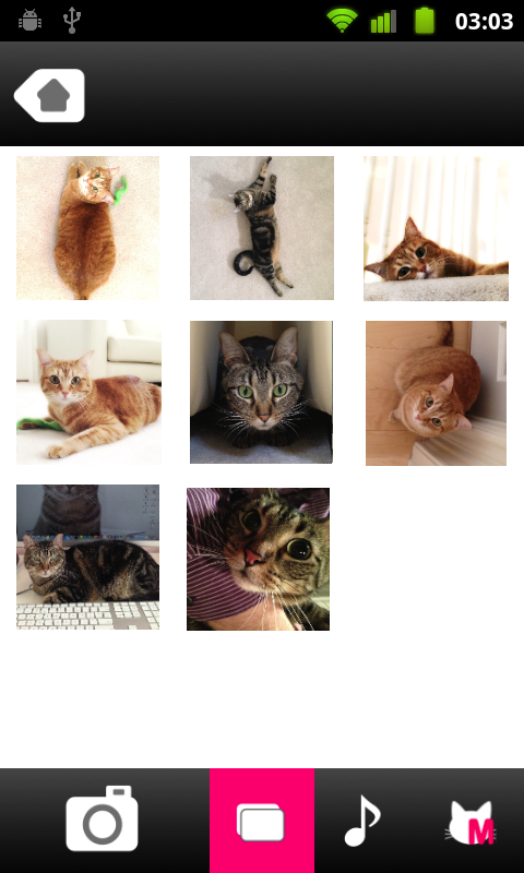 CatPix Screen 3