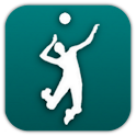 Volleyball Fan logo