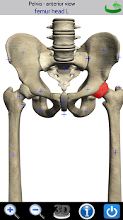 Visual Bones(圖2)-速報App