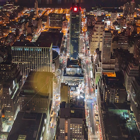 View from the top of the Empire State Building by Sascha Endlicher - City,  Street & Park Neighborhoods