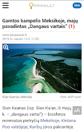 perpasauli.lt poster 3