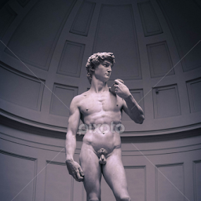 Michaelangelo's DAVID by Anupam Thakur - Buildings & Architecture Statues & Monuments