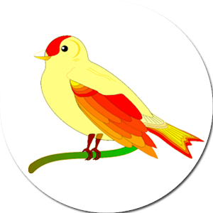 Arabic-Animal Baby Flash Cards.apk 4