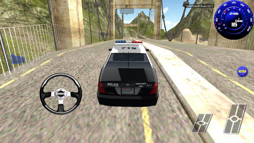 Real Police Car Racing 3D