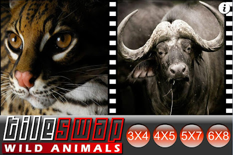 Tile Swap Game Wild Animals(圖4)-速報App